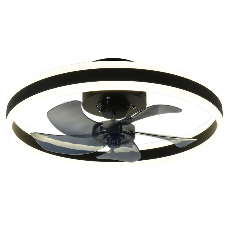 Decorative Ceiling Fan


